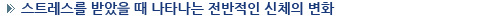 스트레스를 받았을 때 나타나는 전반적인 신체의 변화 